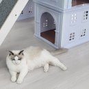 솔빈마루 이미지