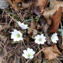 미륵산둘레길 이미지