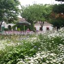 일영랜드 이미지