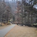 통고산자연휴양림 | 숨 막히게 아름다운 울진 통고산 자연휴양림! 🌲 리모델링 숙소 &#39;매발톱&#39; 찐 후기부터 꿀팁까지 대방출해요!