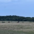 팜팜스테이 이미지