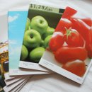 와이티디자인 이미지