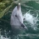 안덕의원 이미지