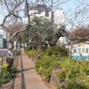 효돈로,일주동로 이미지