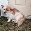 밀알천사 | PM 19:42