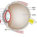 아이포유안경원 이미지