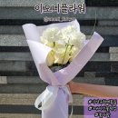 이오니플라워