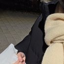 모성약국 | 올해도 별자리 운세가 꼴등이네 내년에 일어나야지