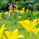 화사한 - 남구 대학로 136 | 화사한