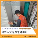 경기도식당 | 경기도 광주시 식당 정기방역 후기