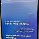 홍해식당 네이버블로그