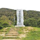 영골숲 매일경제
