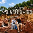 사립강원종합박물관 | 삼척 가볼만한곳 사립 강원종합박물관, 생각보다 볼거리가 많았던 곳