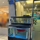 한나분식 - 동구 진성14길 77 | 잠실동맛집 한나낙지마당에서 낙지볶음 nn번째 먹고 온 후기
