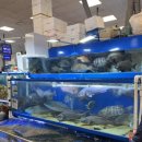 은비수산 이미지