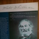 롱아일랜드 이미지