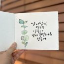 붓펜 수채 캘리그라피 중급 이미지