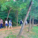 구갈레스피아 게이트볼장 이미지