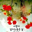 레베트 티스토리