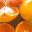 미하농장 이미지