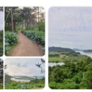 영산밧데리 | 나주 가볼만한곳 완벽정리! 현지인이 알려주는 숨은 명소부터 맛집까지 총망라