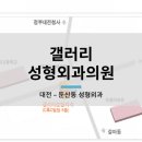 갤러리성형외과의원 네이버블로그