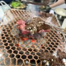 수원성갈비 이미지