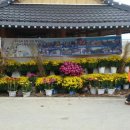 구사마을 네이버블로그