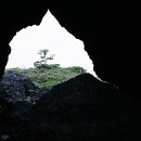 파도향기 이미지