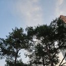 1107 | 1107금. 인턴 4주차 후기 | 인생은 시간 떼우다 가는 것