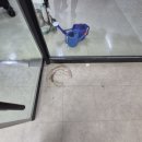 라이온스 | 가산동 우림라이온스밸리 바닥왁스코팅 작업후기