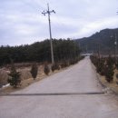 보람농장 이미지