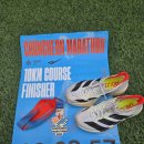 산성대로265번길 | [신흥역 피티] 2025 춘천마라톤 10K 후기