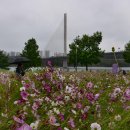 한강시민공원 이미지