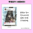 벚꽃과 어울리는 전효성 인스타 테마 투명 포카 이미지