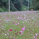 백곡면행정복지센터 이미지