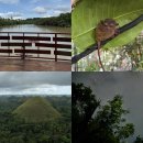 다한농장 | 보홀여행 육상투어 (+반딧불이) 현지 기사님과 다녀온 후기 및 금액 정리