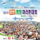 2015 안산 희망 마라톤 대회 이미지