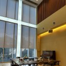 네이처美 | 네이처셀 - 줄기세포 조인트스템 무릎 치료 시술기, 일본 오사카 후기 두번째