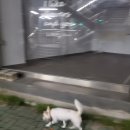 (주) 나날이 이미지