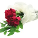 푸른솔농장3 이미지