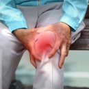 양재첫걸음 이미지