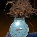 남구-086 이미지