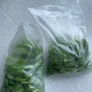고척시립도서관 | 24 JUL 4W 🤍