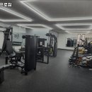 최귀성프로짐 이미지