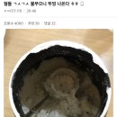갤러리헬스 이미지