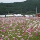 물레방아라이브7080