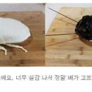 제빵사 이미지