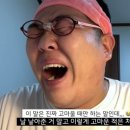 냐옹지마