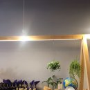메르시마마